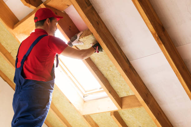 Professional Insulation Installation & Removal in Clintonville, WI